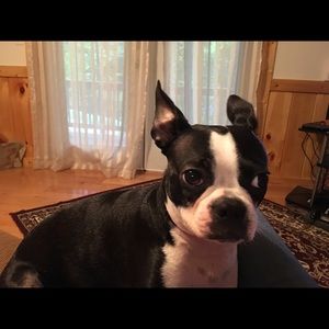 Meet your Posher, Melissa